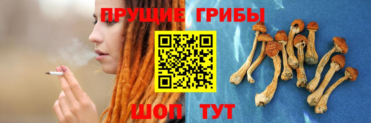 Псилоцибиновые грибы Psilocybe Нефтеюганск
